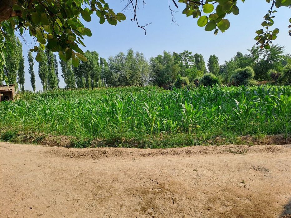 Hovli uy sotiladi. Дом продаётся