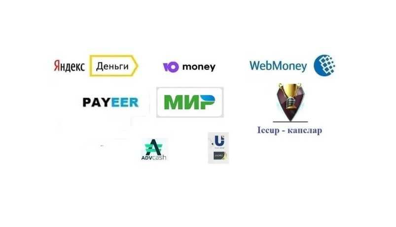 Professional maslahatlar Werbmoney, консультация по Вебмани