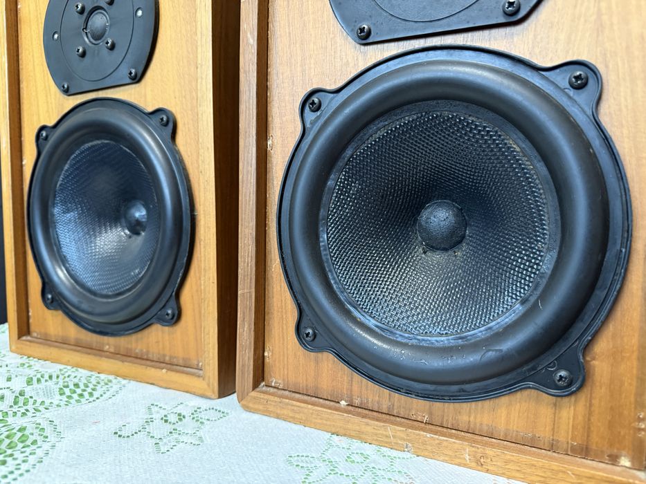 bowers & wilkins DM-5