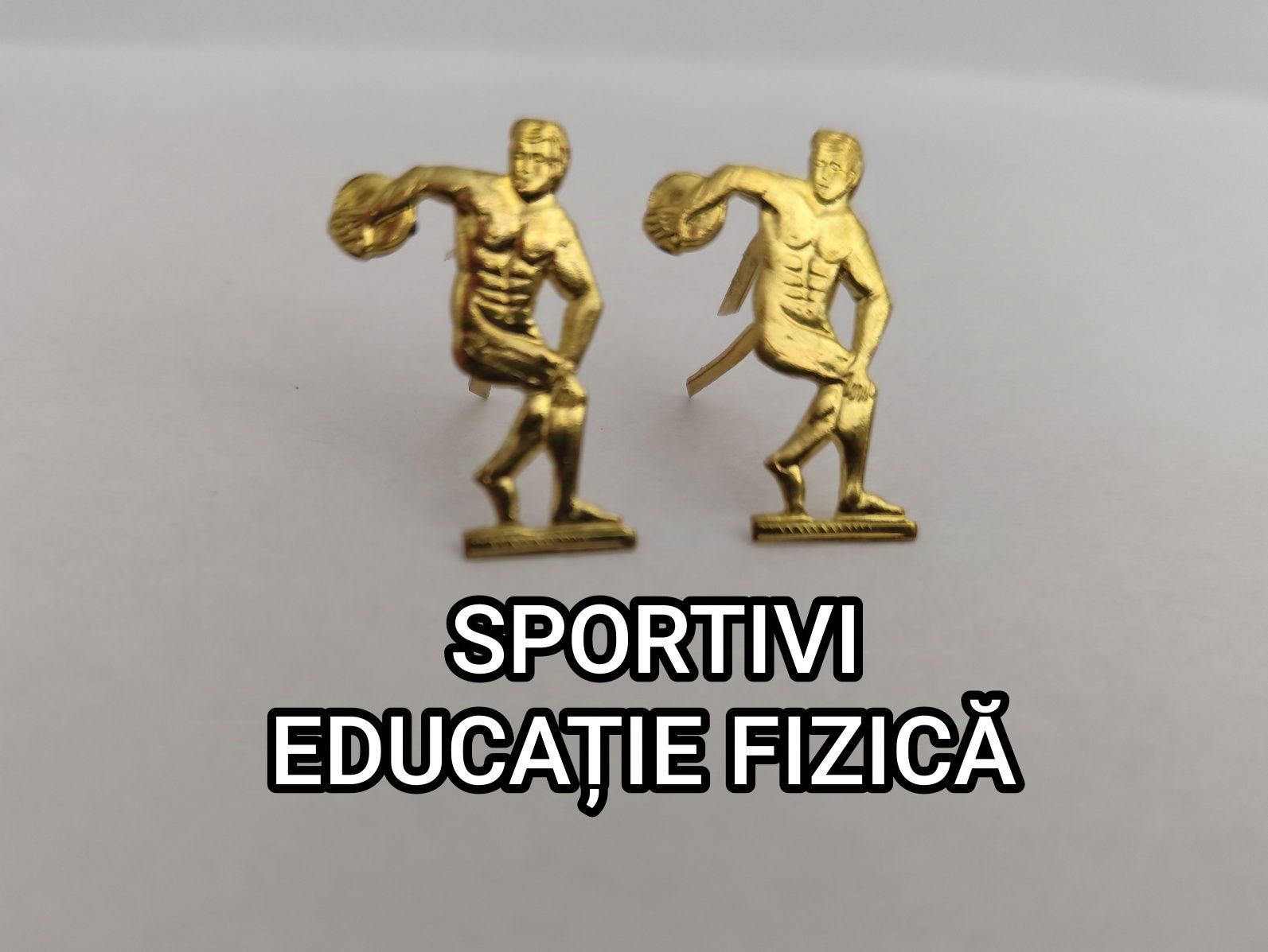 Semne armă Armata Română