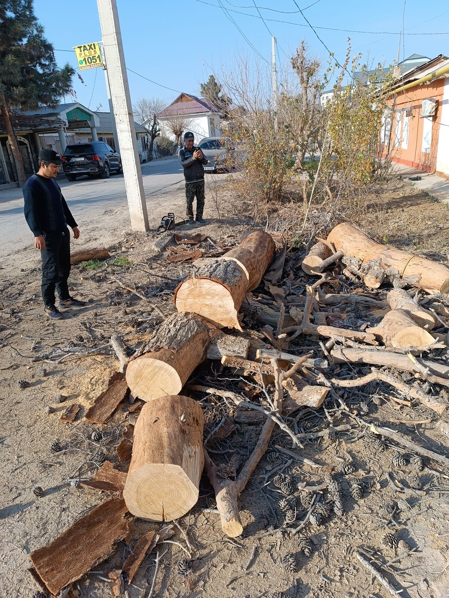 Утин сотилад Зур утинга паркетгахам булади термиз шахрида