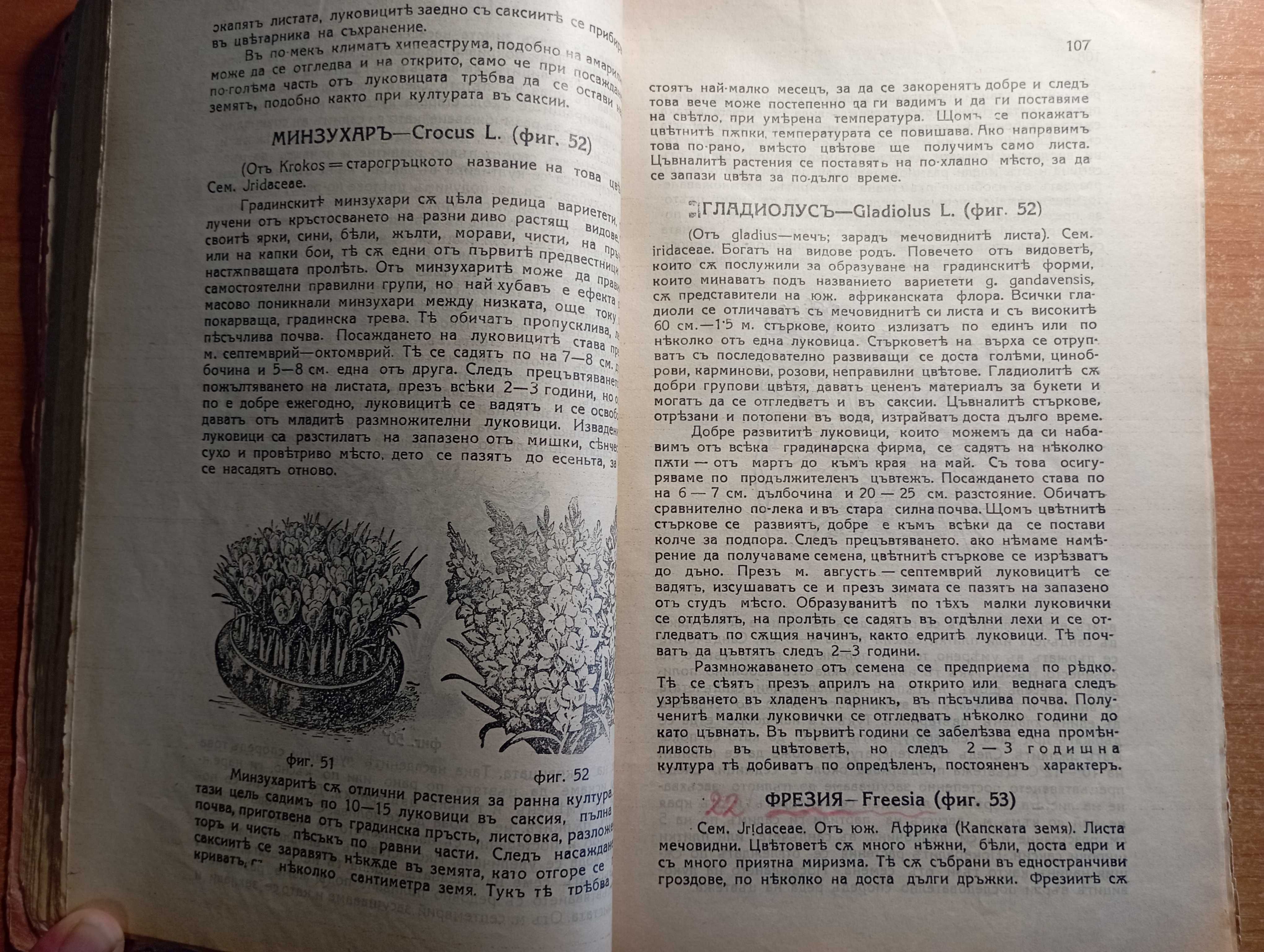 Ръководство по цветарство и уредбата на украсни градини - Стрибърни