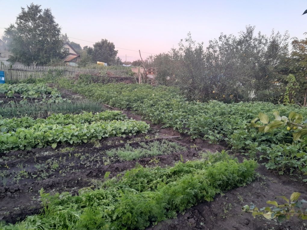 Продам дачу с/о.Энергетик1