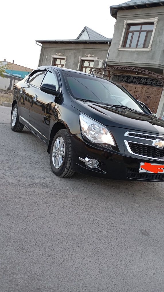 Cobalt Qora 2024