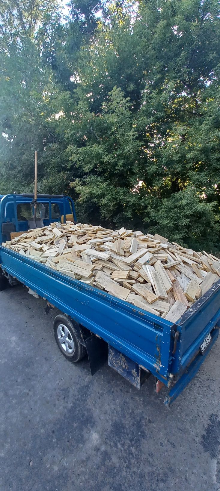 Дрова рубленные сухие