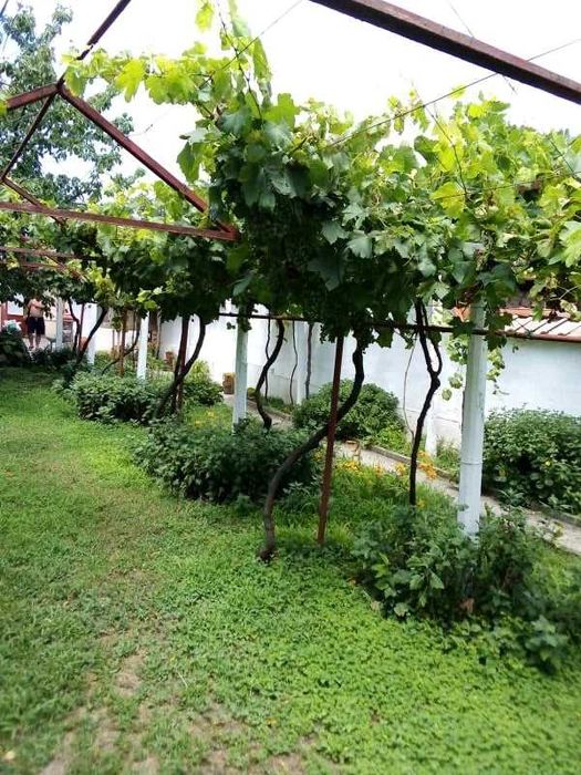 Продава се Къща в с. Долна махала, Област Пловдив - 85 кв.м за 765 €/кв.м - Снимка #6