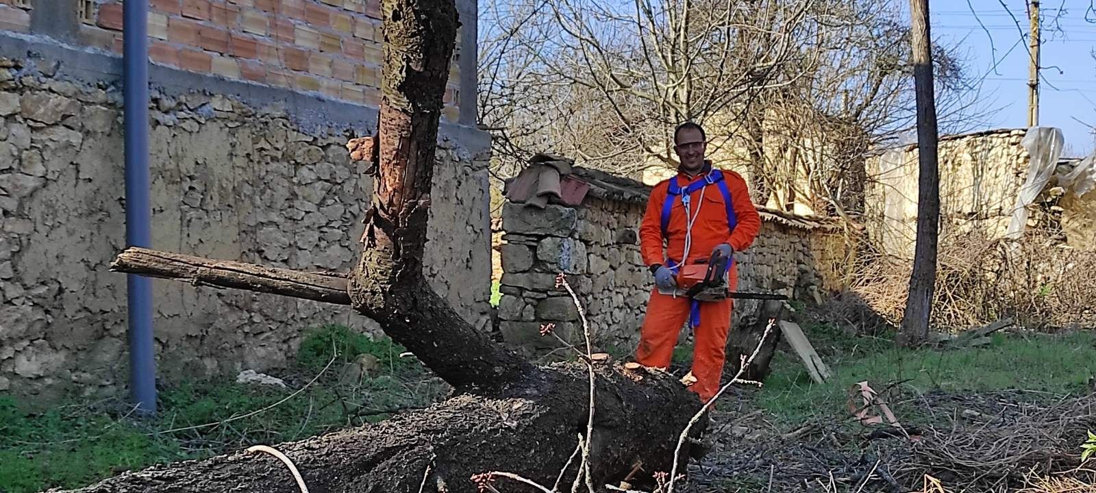 Рязане на дървета, косене на тревни площи, почистване на дворове.