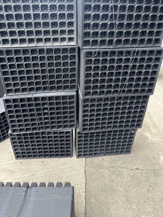 Tavite alveolare alveole rasaduri turba banda picurare