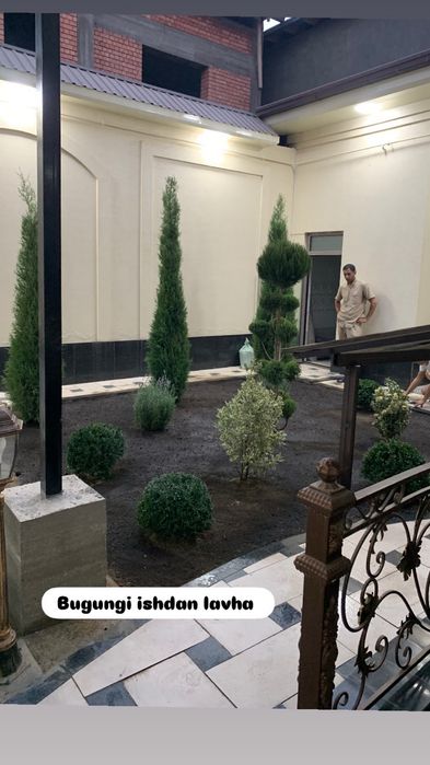 Haykal sotamiz sifatli arzon narxda