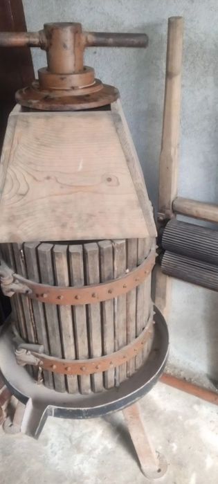Moara si storcator struguri