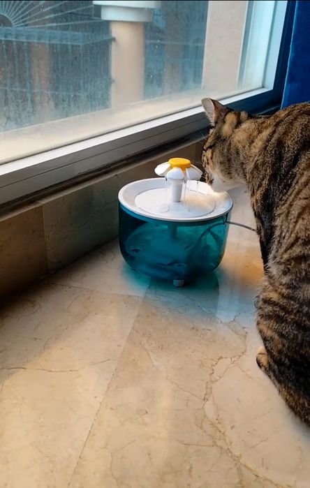 Fantana apa pt animale