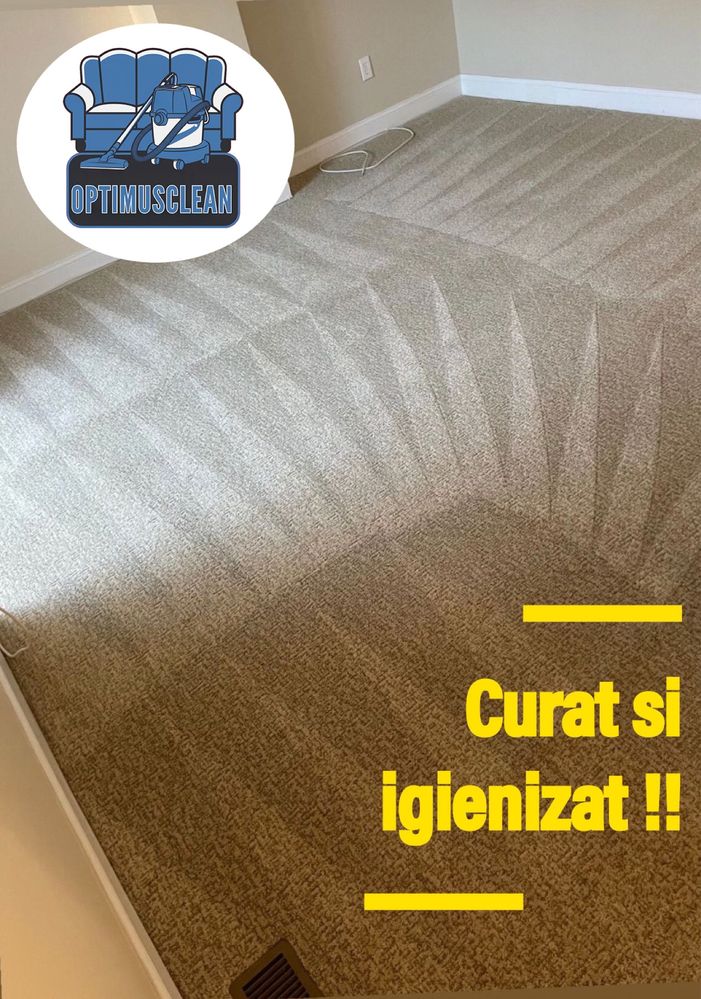 Curatare - spalare - igienizare aburi canapele,saltele,scaune,mocheta