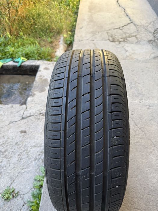 Баллон Roadstone с отбойником