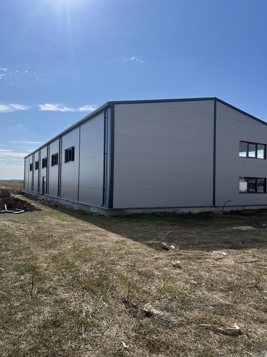 Hale de vanzare in Dascalu Ilfov