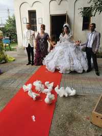 Porumbei Nunta închiriez