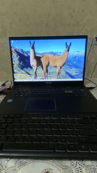 Asus vivobook L510Ma