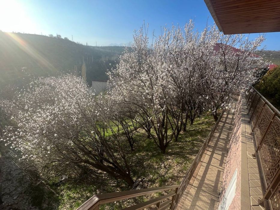 Продается премиум дача 24 сотки "Бочки"