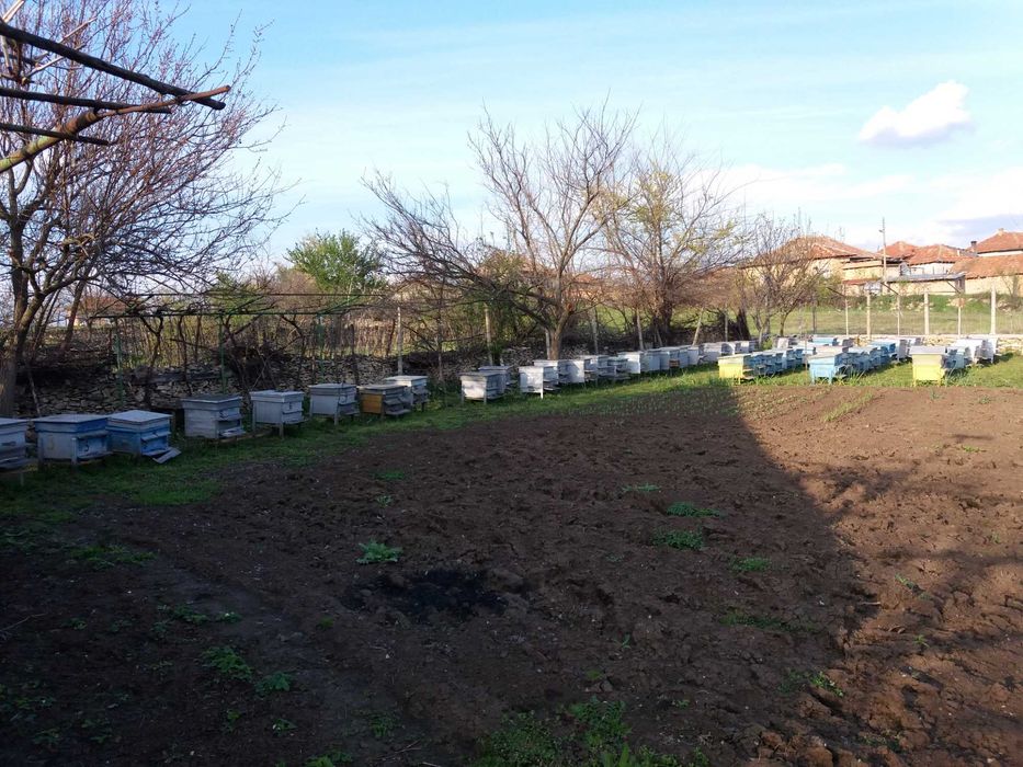 Магазини и сковани магазинни рамки за кошери ДБ