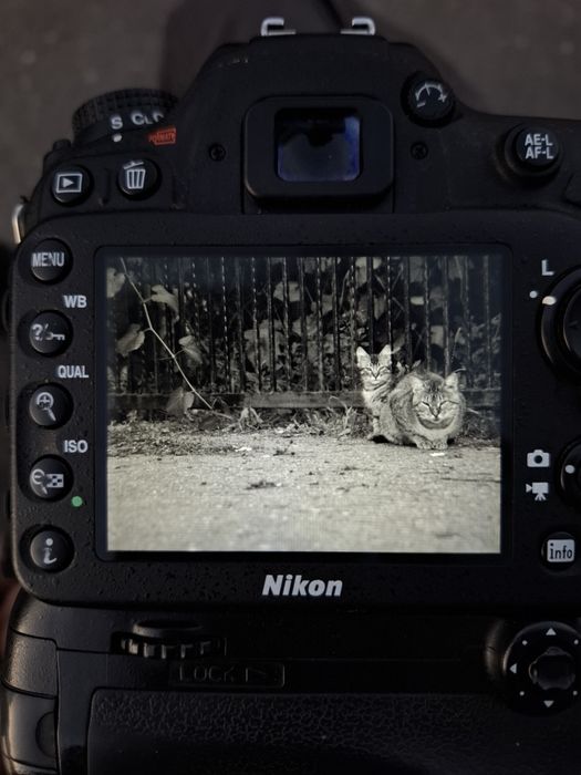 Set foto profesional