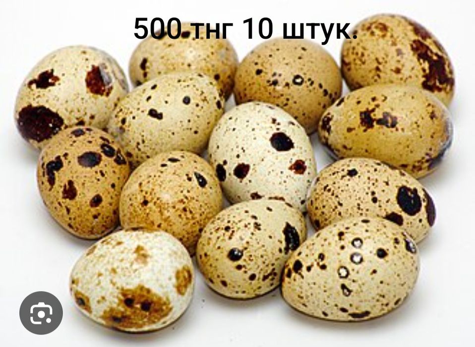 Имеются в продаже.переаелинные яйца..