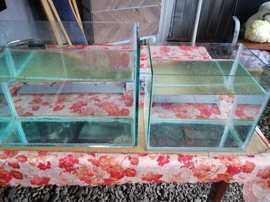 Acvariu de 15 sau 30 litri