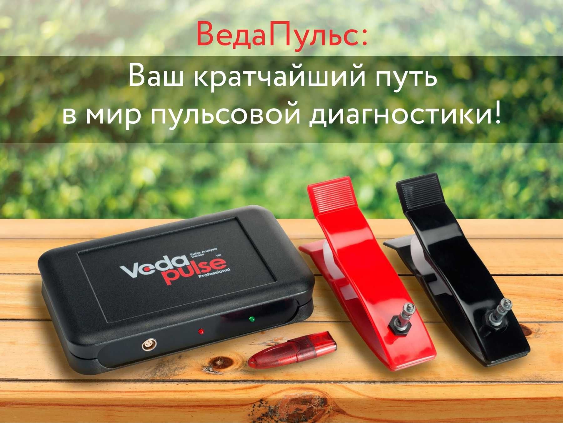 Аппаратно-программный комплекс - «ВедаПульс Профессиональный»