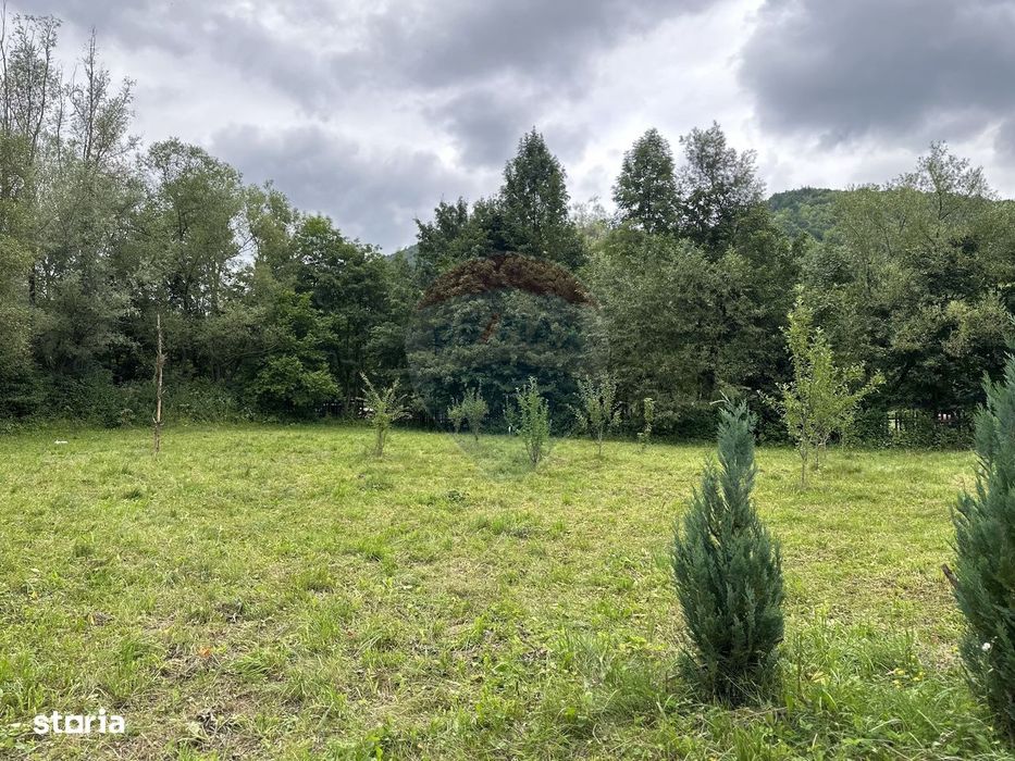 Teren de vanzare Cuiejdel 1350 mp