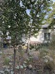Продаётся дом 5,04 соток Янги Узбекистон, Геофизика, М. Улугбекский рн