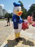 Vând mascota Donald o data purtata in state fff bună preț 700 de lei