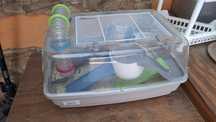 Cusca hamsteri cu accesorii