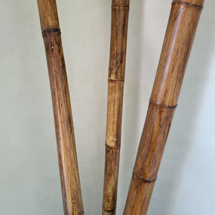 Бамбук натуральный декоративный.