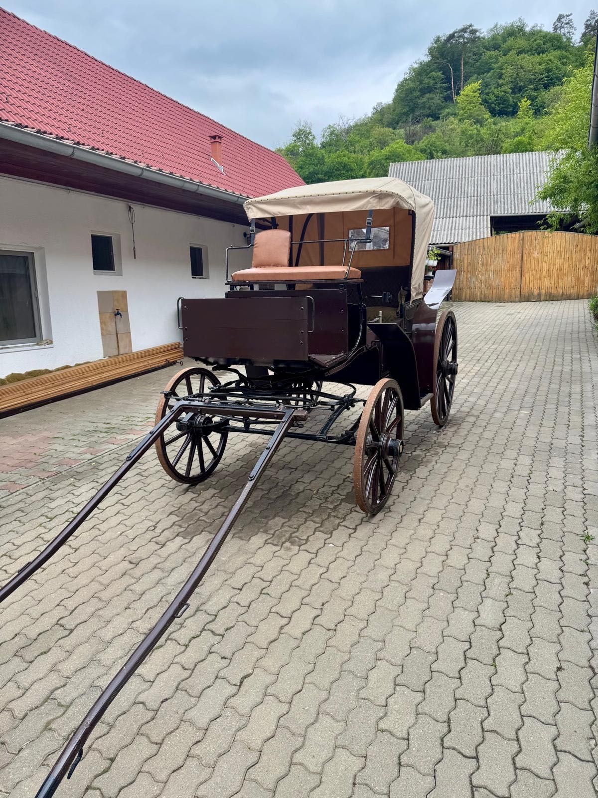 Vând TRĂSURĂ  UNICAT în stare ireproșabilă.