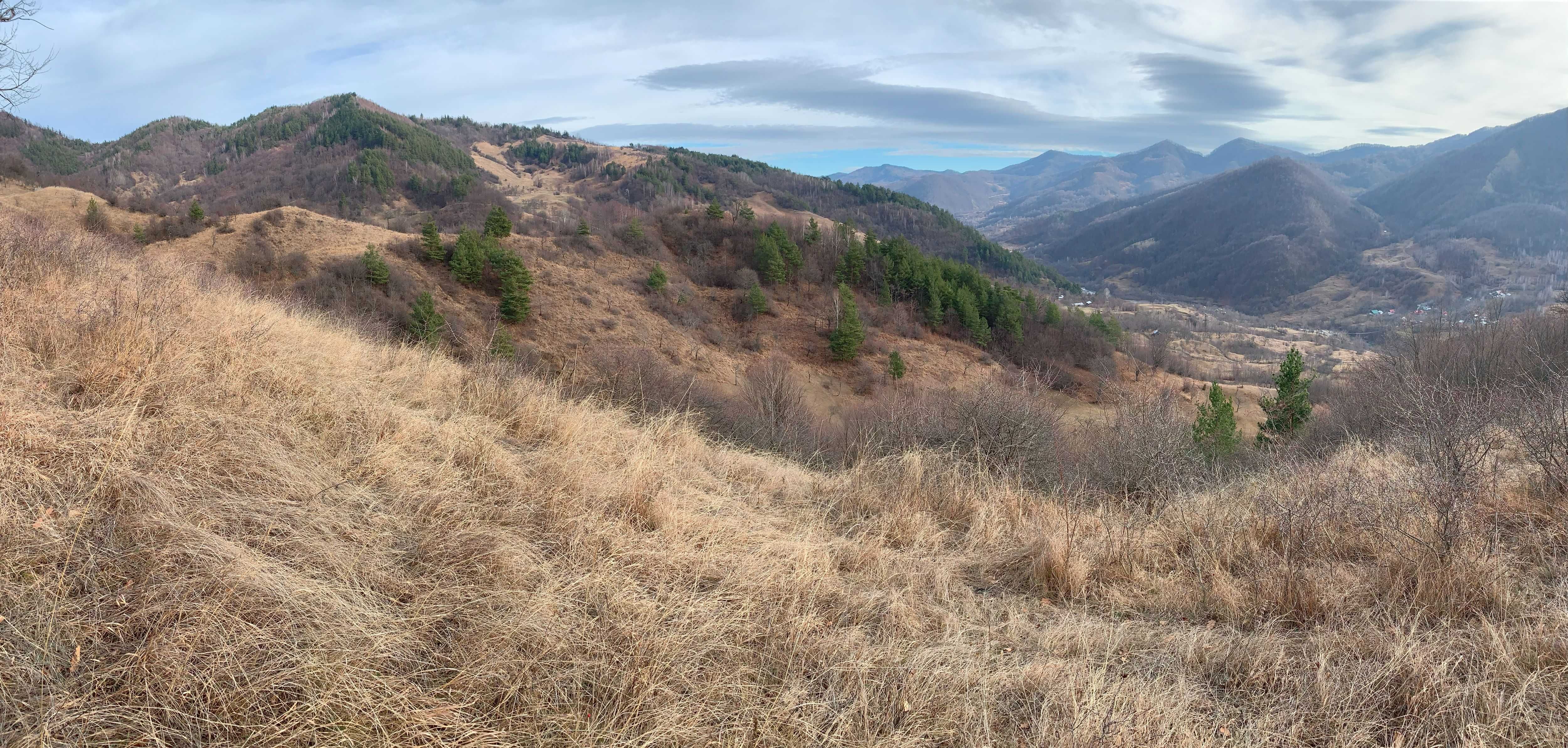 Teren Nehoiu, pentru cabană offgrid sau glamping