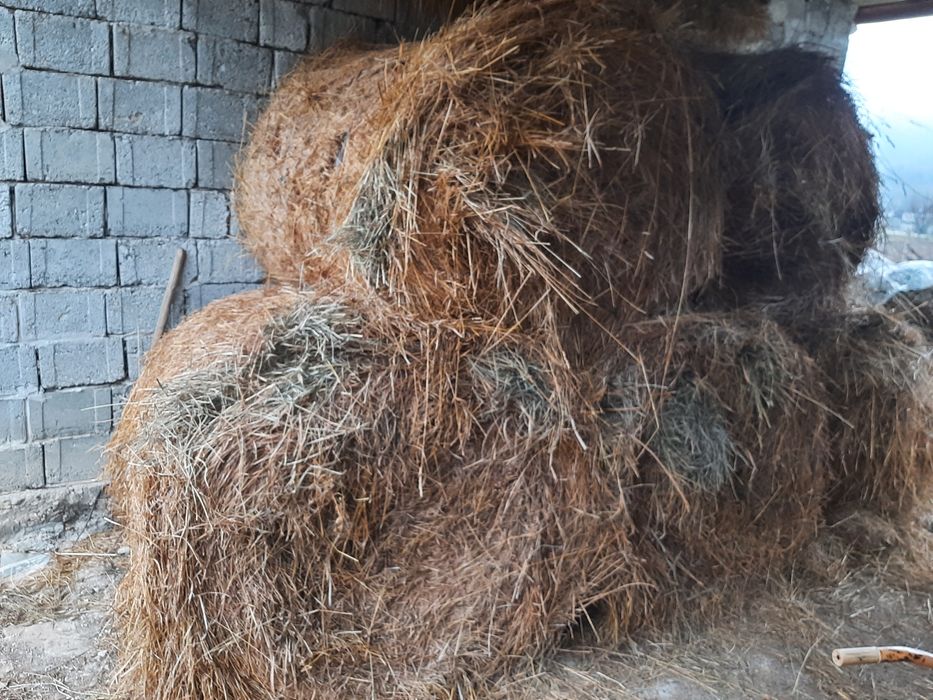 Baloti de fan si otava