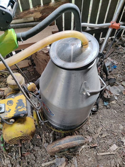 Mulgătoare vaci foarte bine întreținută