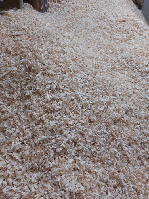 Apilka sotiladi chiroyli narxlarda