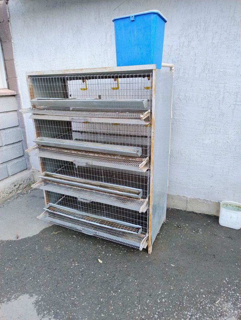 Клетка для перепелов