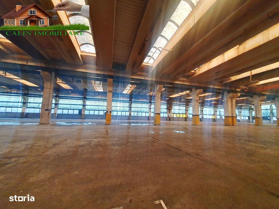 HALA Sala Sport/ Baschet / Fotbal / Tenis / Padel 650mp Tatarasi 5,5 E