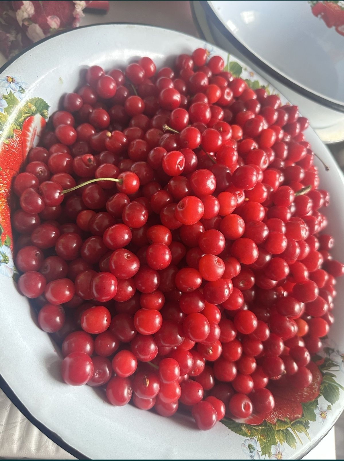Вишня.           .