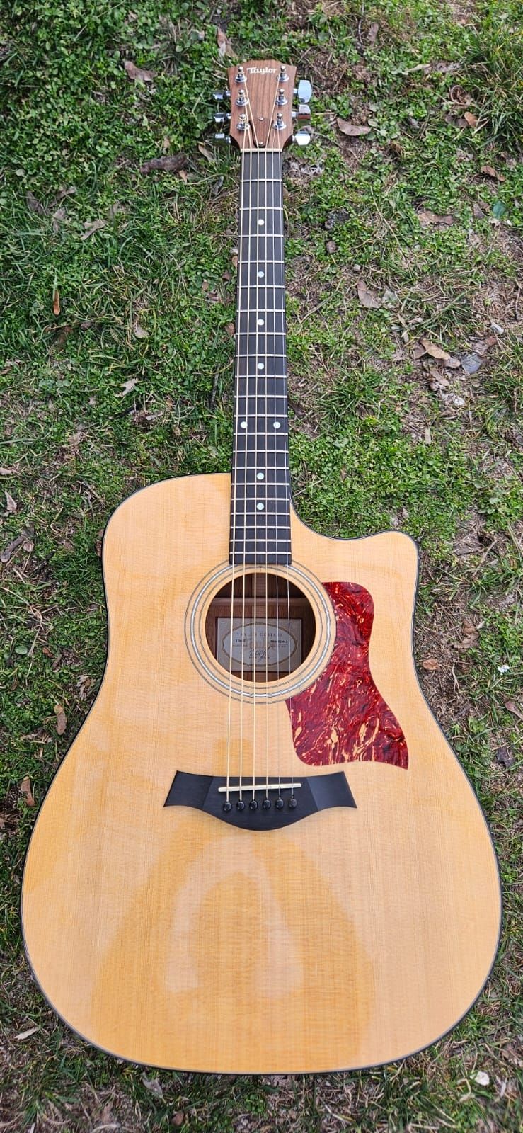 Taylor 310CE 2004