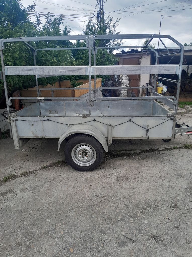 Remorca Auto Westfalia