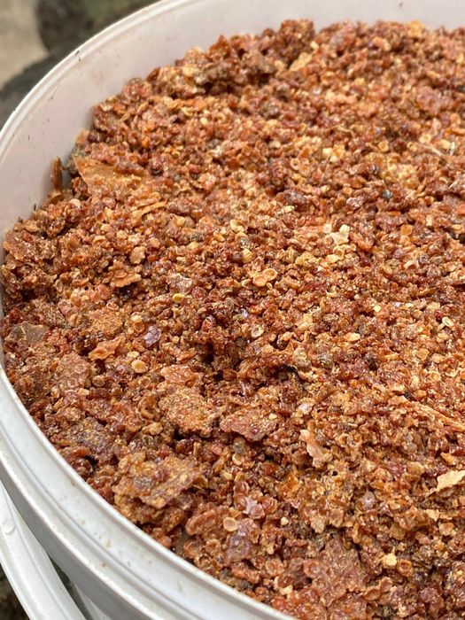 Propolis brut productie 2025