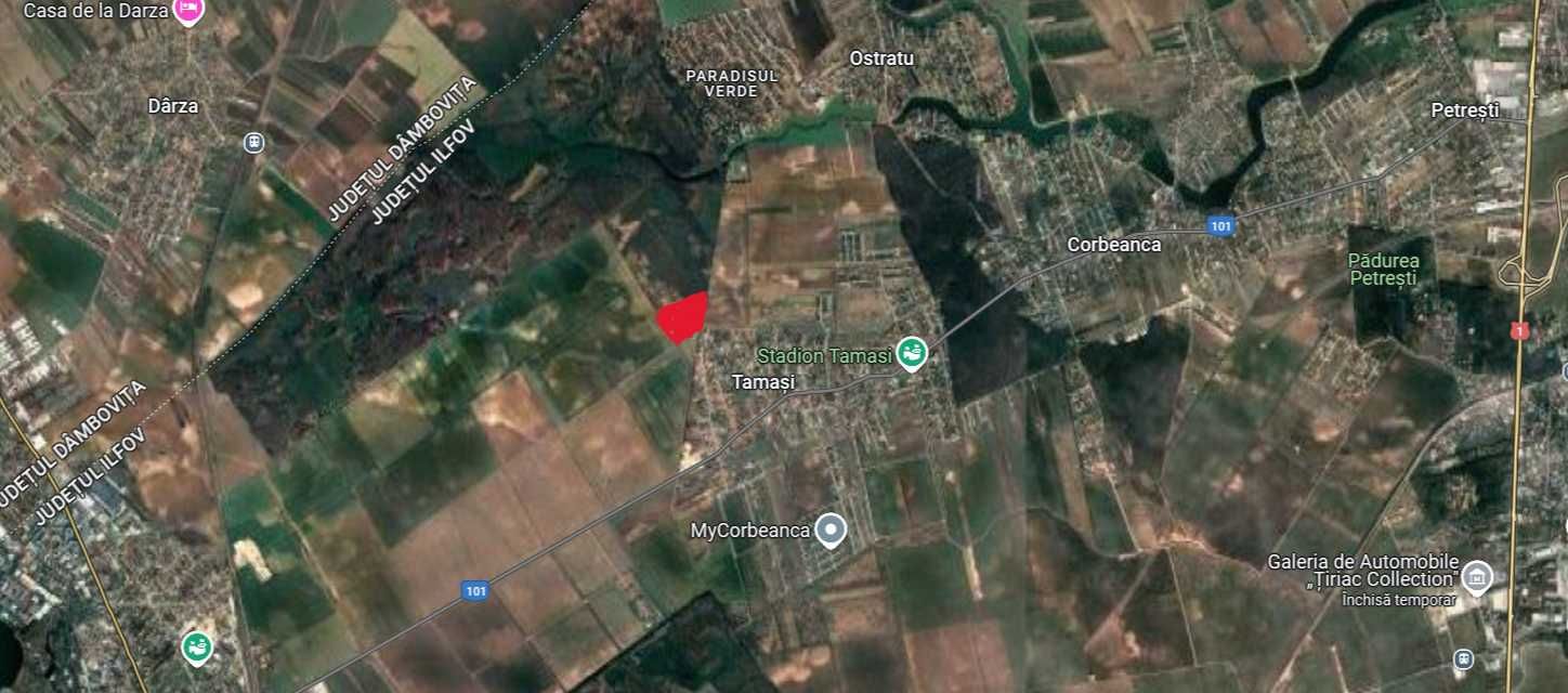 Teren intravilan 40308mp, Buftea, Tamas