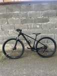 Велосипед Orbea Onna Junior 29"