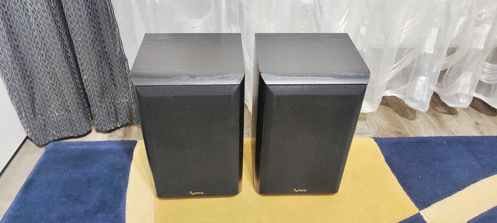 Boxe de Raft Infinity Reference 10 Boxe Audio de Camera Difuzoare