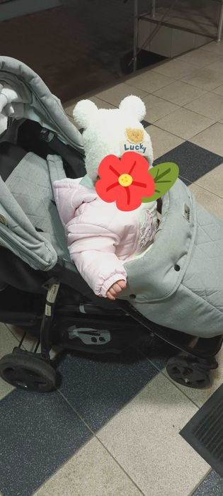 Lorelli Daisy 2 în 1 Cărucior pentru copii