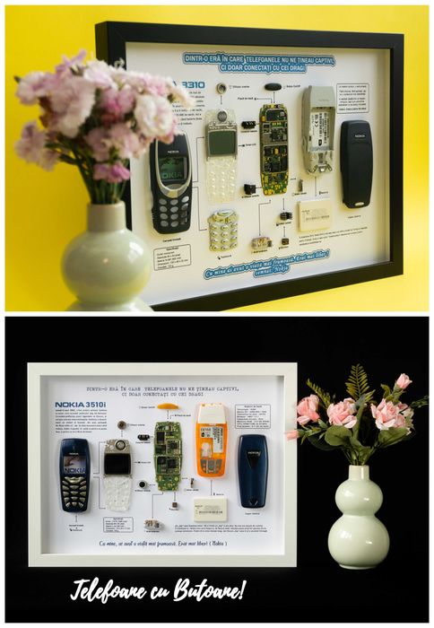 Tablou Nokia 3310 - Înramez si Nokia 6310i Nokia 6700 Nokia 8800