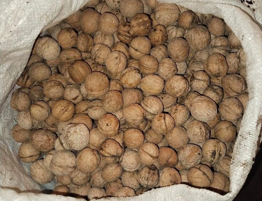 Дәмі керемет жанғақ