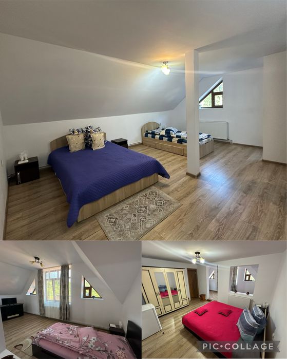 Cabana de inchiriat- Pensiunea Apuseni