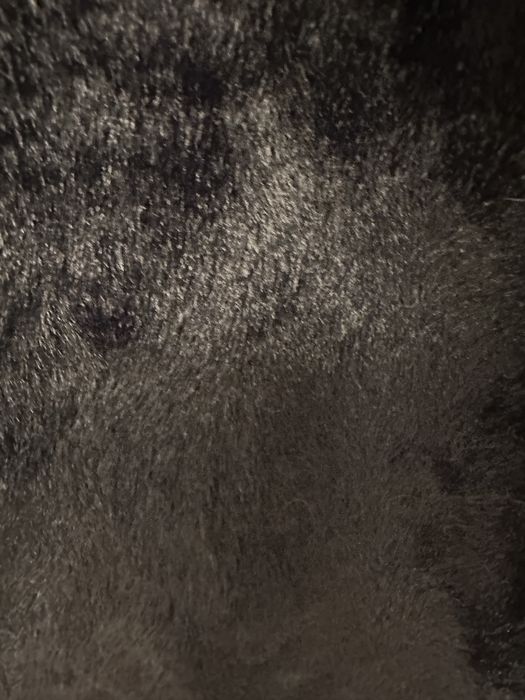 Черно палто